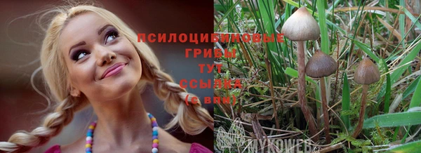 ПСИЛОЦИБИНОВЫЕ ГРИБЫ Алексеевка
